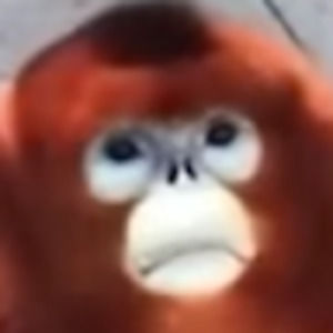 Meet your Posher, Kierigg